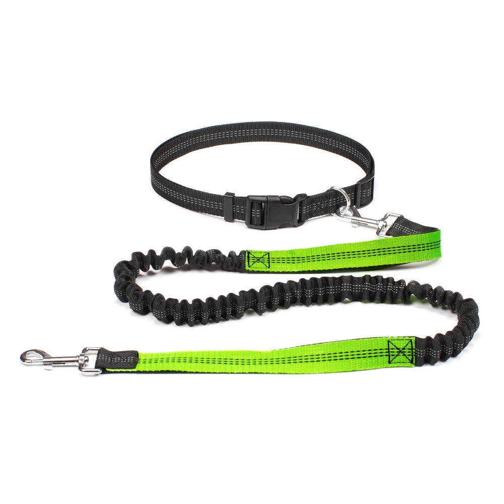 Hand Free Dog Leash