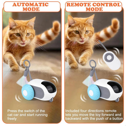 Automatic Moving Remote Controlled Toy Car for Cats/Dogs