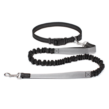 Hand Free Dog Leash