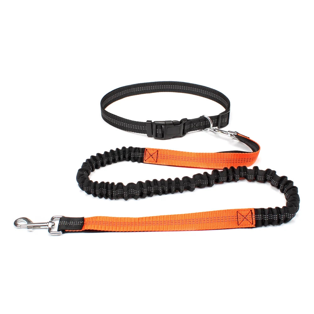 Hand Free Dog Leash